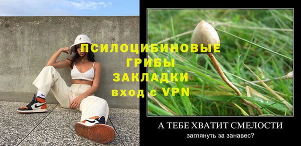 эйфоретик Алзамай