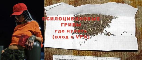 эйфоретик Алзамай