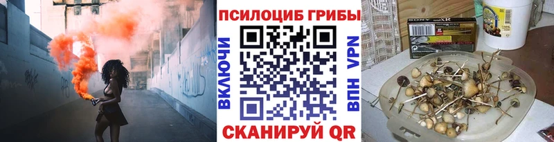 нарко площадка наркотические препараты  Суровикино  Псилоцибиновые грибы Cubensis 